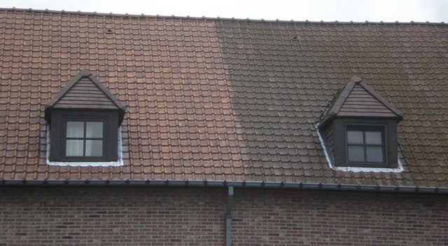 tiled roof cleaning before and after